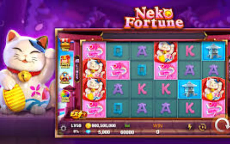 neko fortune at Winzy